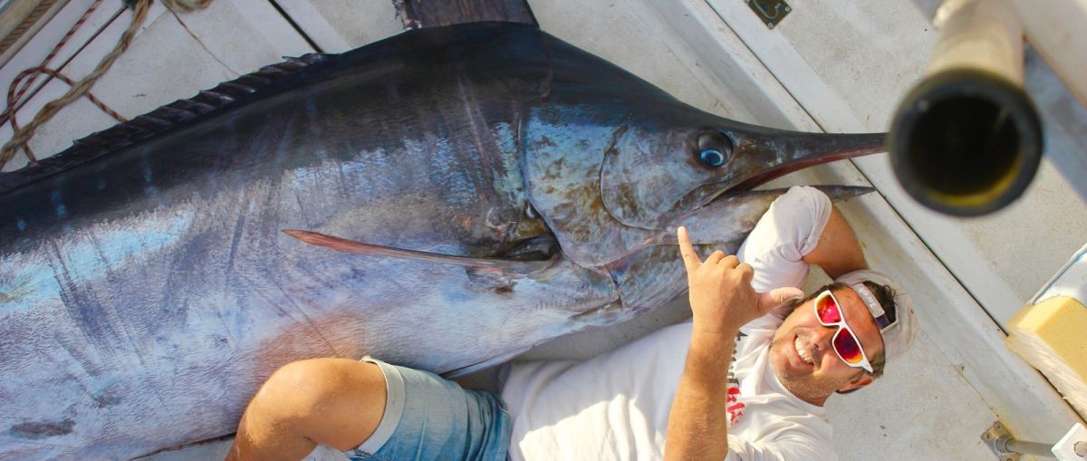 https://www.xiphias-biggamefishing.fr/index.php?page=tarifs-peche-au-gros&id=341https://www.xiphias-biggamefishing.fr/index.php?page=peche-du-marlin-bleu&id=1084