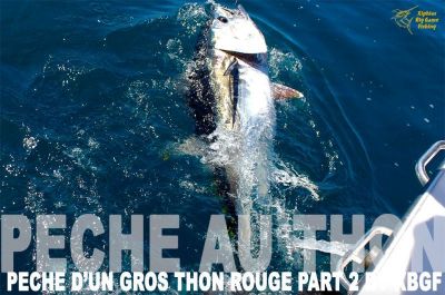 video huge bluefin tuna fishing part-2