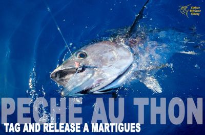 Bluefin Tuna Fishing Tag and release Martigues South of France