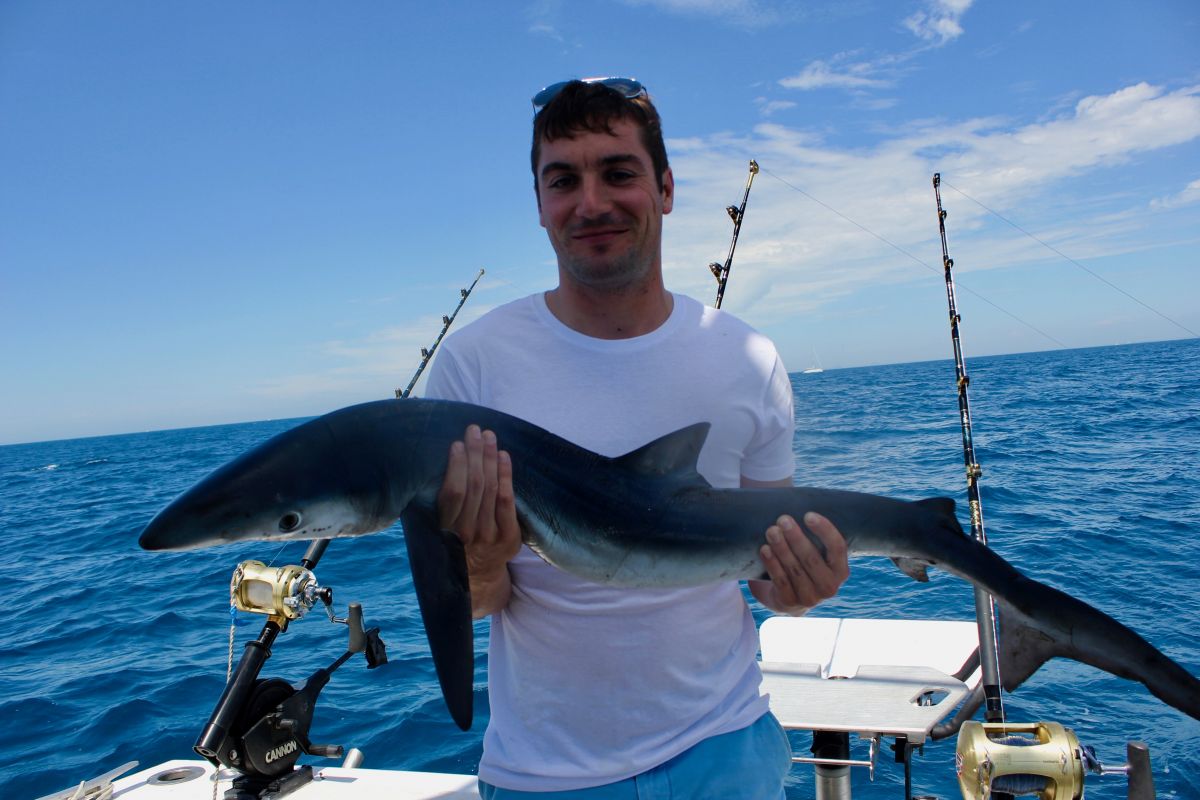 Shark fishing algarve