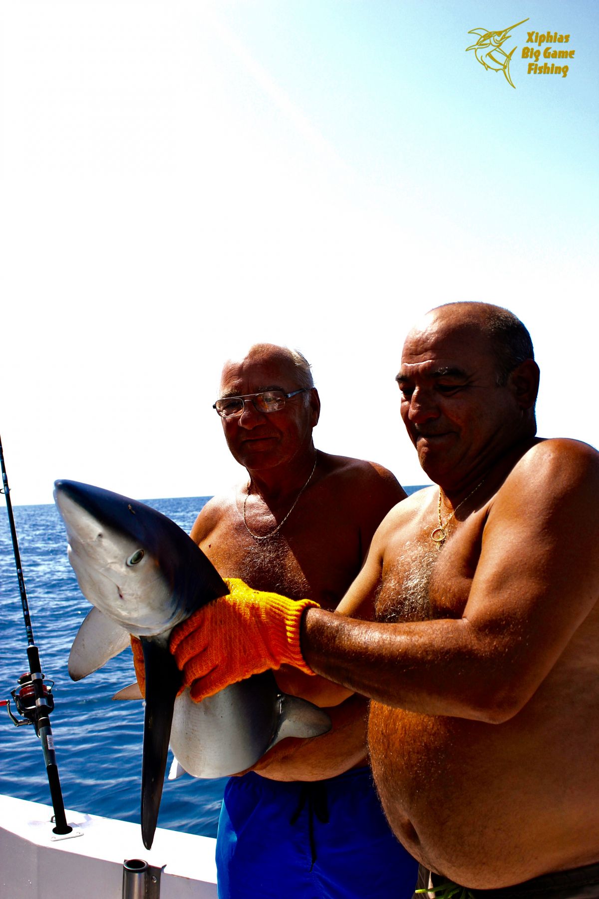 shark fishing algarve portugal