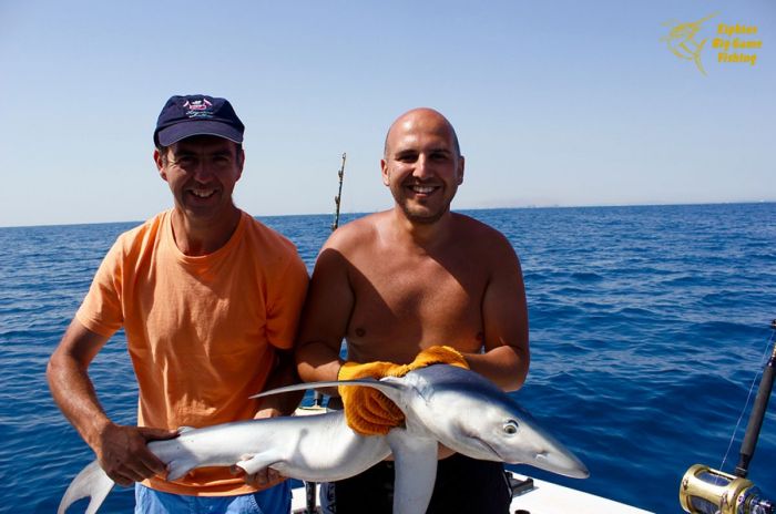 shark fishing algarve portugal