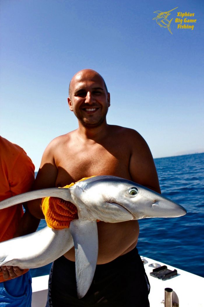 shark fishing algarve portugal