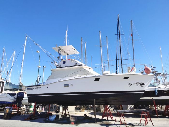 charter boat Tenerife