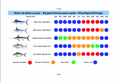 Algarve fishing season guide