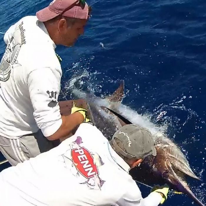 BIG GAME FISHING BLUE MARLIN SPECIAL OFFER FOR AUGUST 2023 FROM 15/08 - 31/08