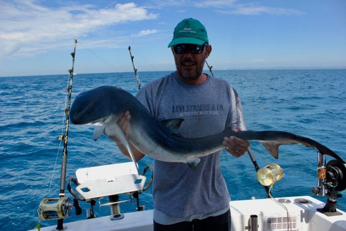 HALF DAY SHARK FISHING  MAKO HAMMERHEAD BLUE SHARK