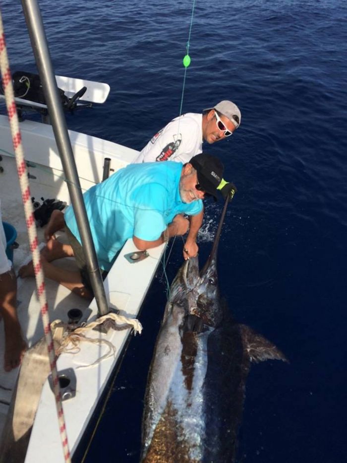 Blue Marlin fishing Tenerife