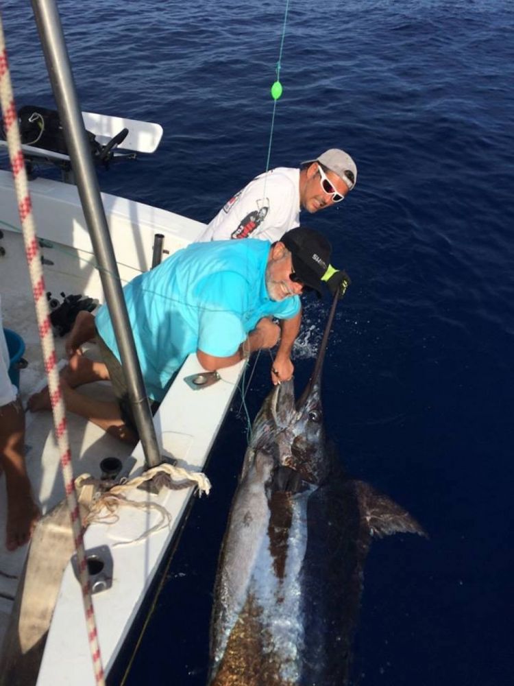 Blue marlin fishing