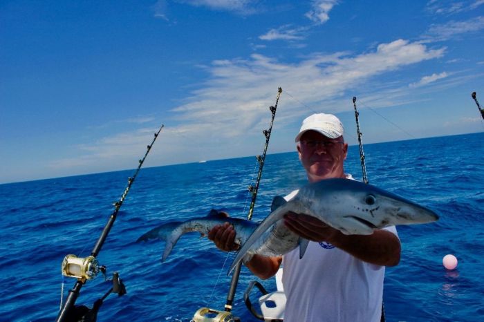 Shark fishing in Portugal