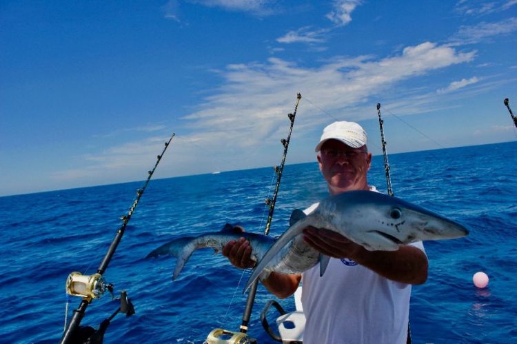 Shark fishing in Algarve