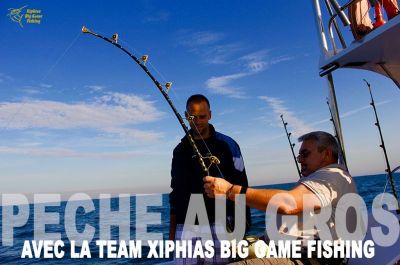 Bluefin Tuna catch and release Martigues South of France