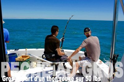 Bluefin Tuna for Xiphias Big Game Fishing Team
