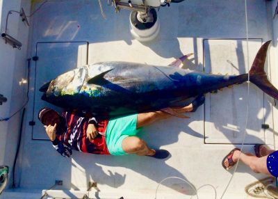 Big game fishing in Portugal - amazing giant bluefin tuna double strike