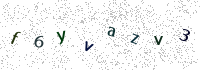 Human or robot verification