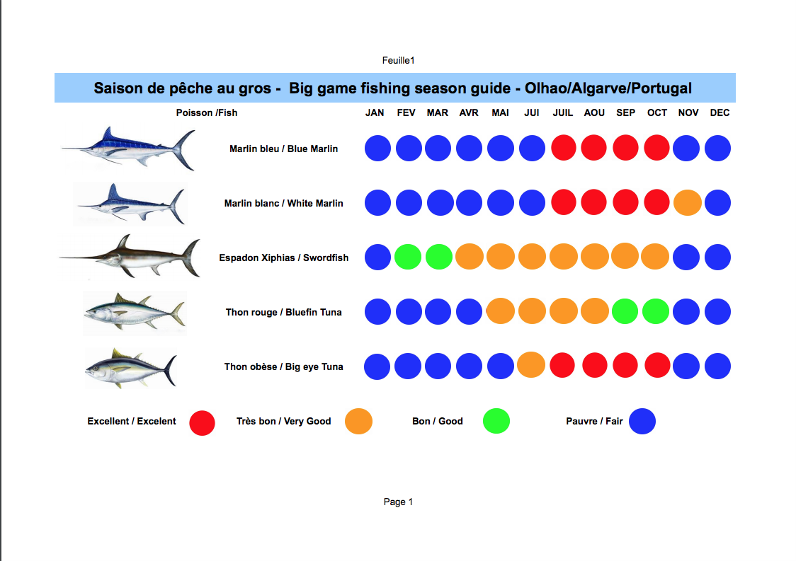 Guide de la saison de pêche au gros à Olhao en Algarve