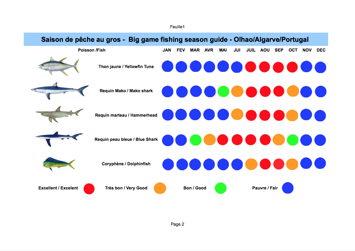 Guide de la saison de pêche au gros à Olhao en Algarve