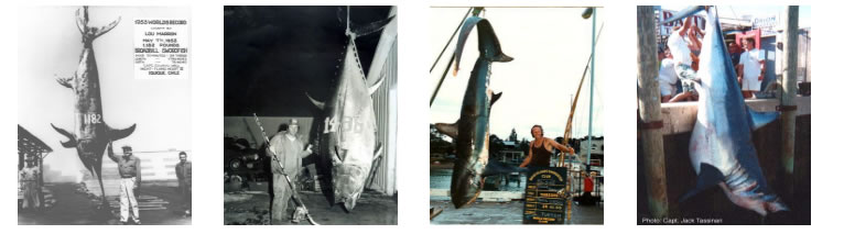 Big game fishing records