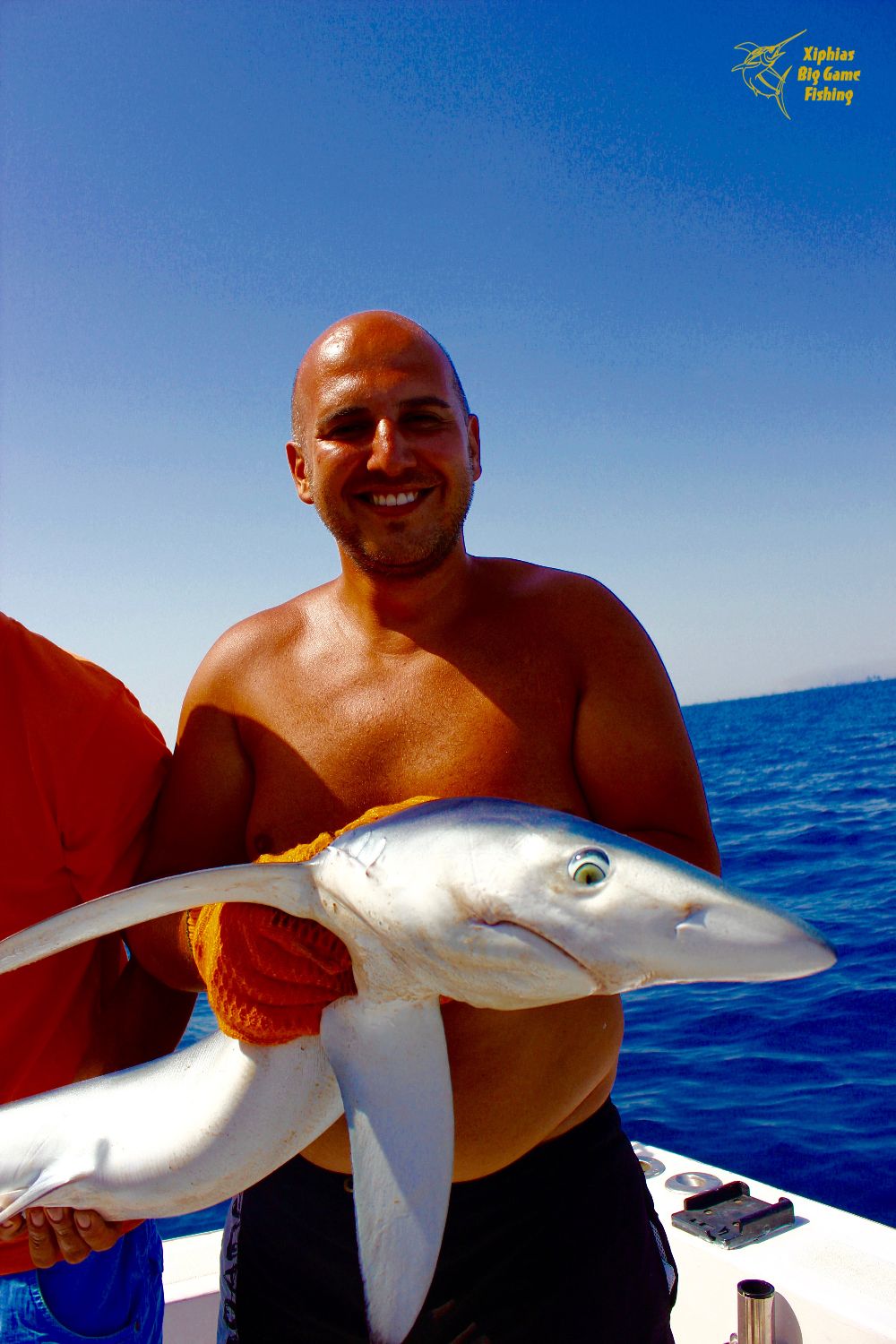 shark fishing portugal rates